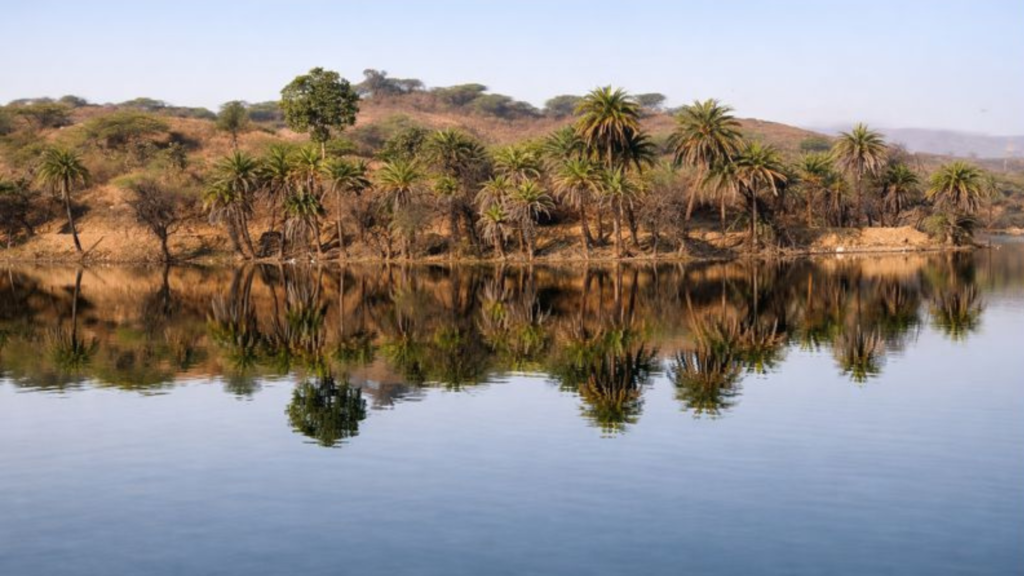Serene view of Jogi Talab in Udaipur with calm reflections, palm trees and hills, making it a beautiful location for pre-wedding shoots.