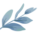 cropped-favicon-1.png